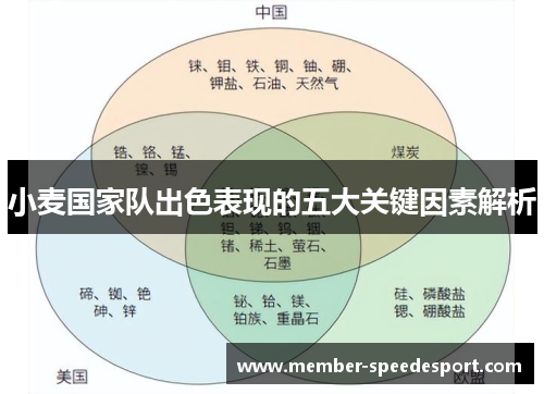 小麦国家队出色表现的五大关键因素解析