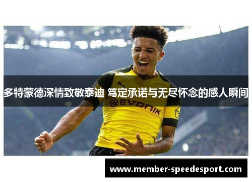 多特蒙德深情致敬泰迪 笃定承诺与无尽怀念的感人瞬间
