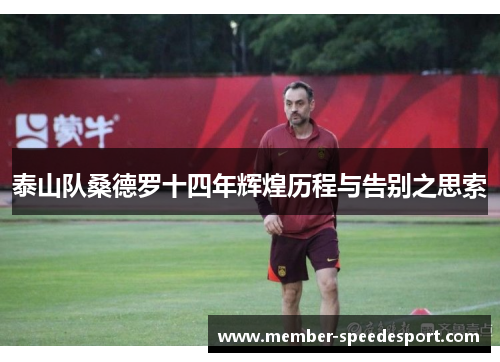 泰山队桑德罗十四年辉煌历程与告别之思索