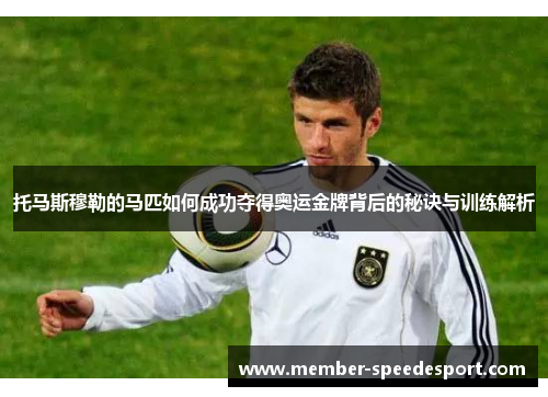 托马斯穆勒的马匹如何成功夺得奥运金牌背后的秘诀与训练解析