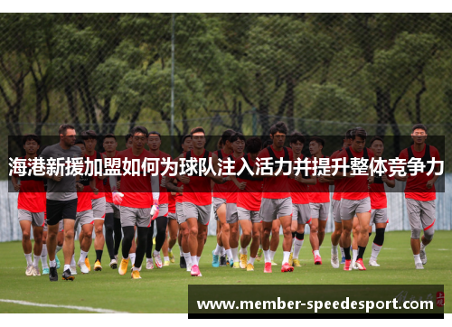 海港新援加盟如何为球队注入活力并提升整体竞争力