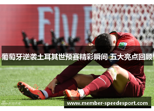 葡萄牙逆袭土耳其世预赛精彩瞬间 五大亮点回顾