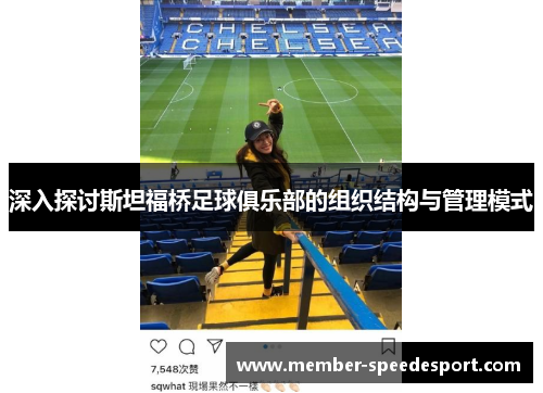 深入探讨斯坦福桥足球俱乐部的组织结构与管理模式