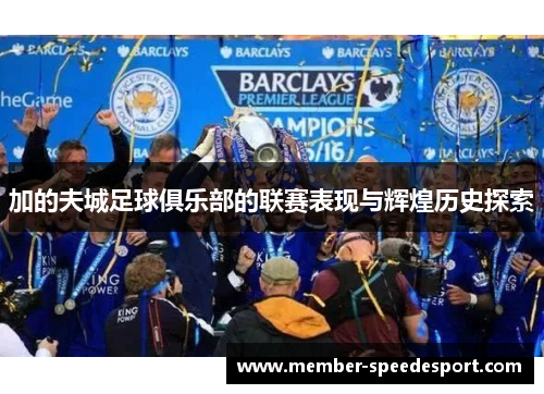 加的夫城足球俱乐部的联赛表现与辉煌历史探索 加的夫城足球俱乐部的联赛表现与辉煌历史探索