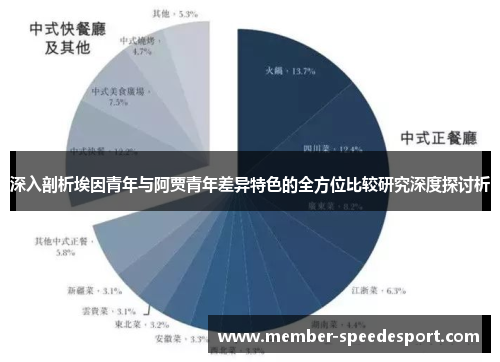 深入剖析埃因青年与阿贾青年差异特色的全方位比较研究深度探讨析 深入剖析埃因青年与阿贾青年差异特色的全方位比较研究深度探讨析