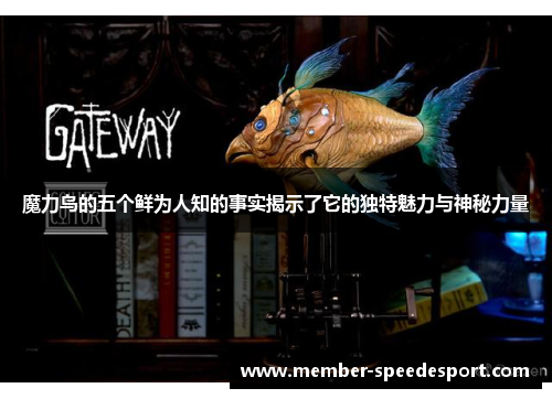 魔力鸟的五个鲜为人知的事实揭示了它的独特魅力与神秘力量