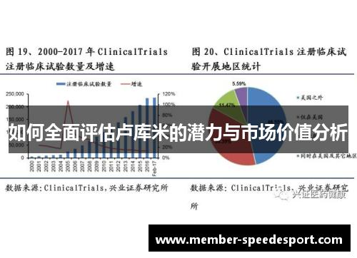 如何全面评估卢库米的潜力与市场价值分析